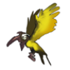 PetBirdConsumable_Icon.png